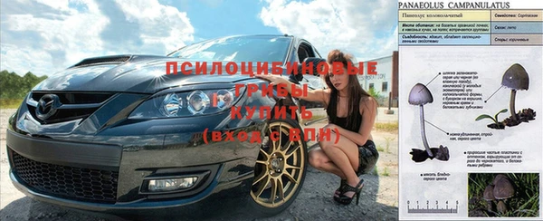 круглые Володарск