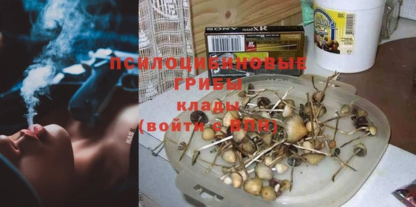 крисы Волоколамск