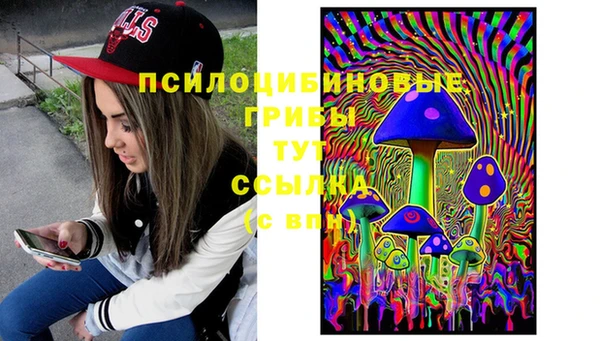 крисы Волоколамск