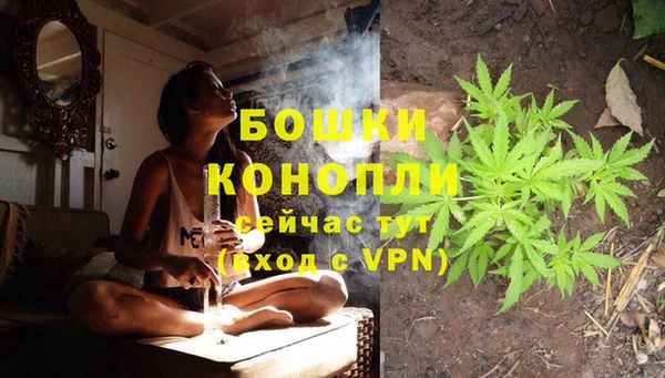 крисы Волоколамск